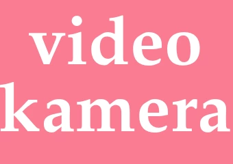 Synonym videokamera