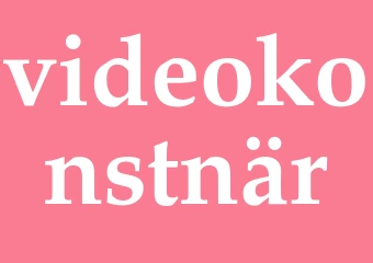 Synonym videokonstnär