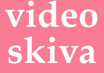 Synonym videoskiva