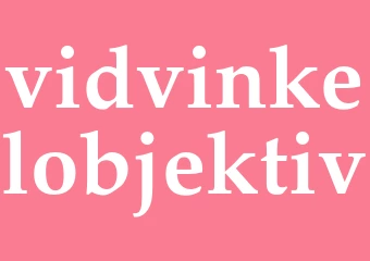 Synonym vidvinkelobjektiv