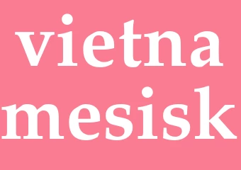 Synonym vietnamesisk