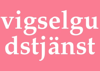 Synonym vigselgudstjänst
