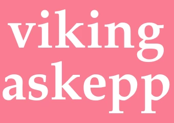 Synonym vikingaskepp