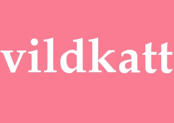 Synonym vildkatt