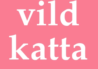 Synonym vildkatta
