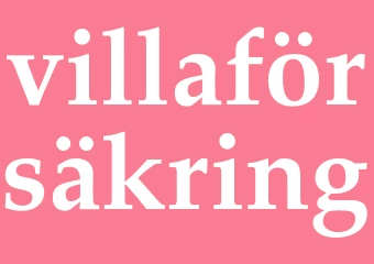 Synonym villaförsäkring