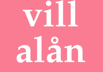 Synonym villalån