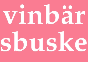 Synonym vinbärsbuske