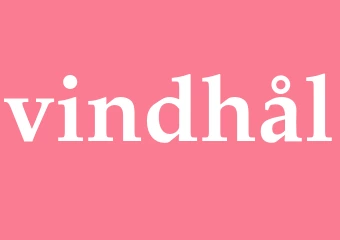 Synonym vindhål