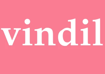Synonym vindil