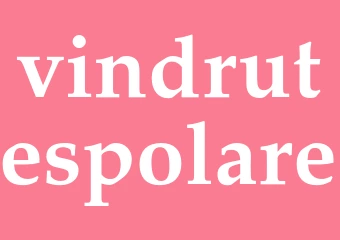 Synonym vindrutespolare