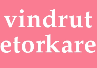 Synonym vindrutetorkare