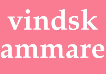 Synonym vindskammare