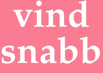 Synonym vindsnabb