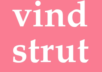 Synonym vindstrut