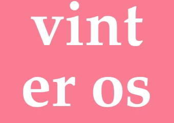 Synonym vinter-os