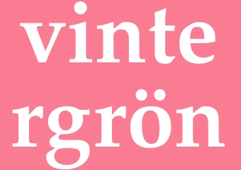 Synonym vintergrön