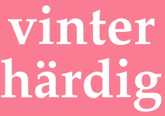 Synonym vinterhärdig