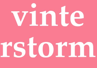 Synonym vinterstorm