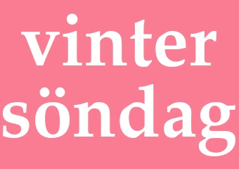 Synonym vintersöndag