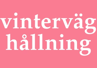 Synonym vinterväghållning