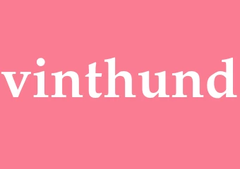 Synonym vinthund