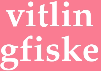 Synonym vitlingfiske