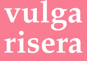 Synonym vulgarisera