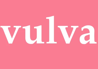 Synonym vulva