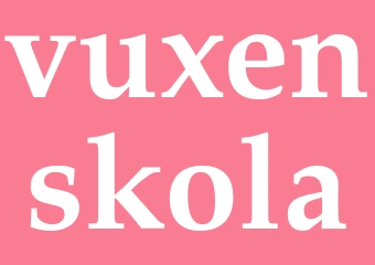 Synonym vuxenskola
