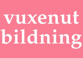 Synonym vuxenutbildning