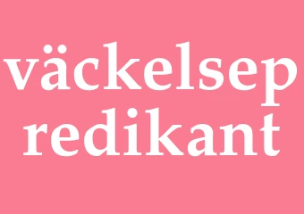 Synonym väckelsepredikant