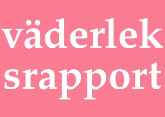 Synonym väderleksrapport