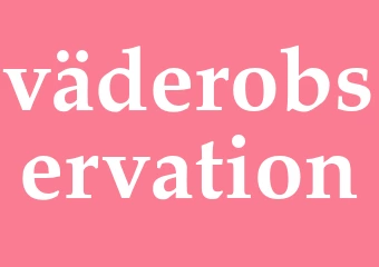 Synonym väderobservation