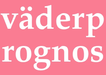 Synonym väderprognos