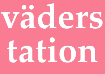 Synonym väderstation