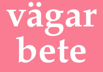 Synonym vägarbete