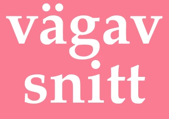 Synonym vägavsnitt