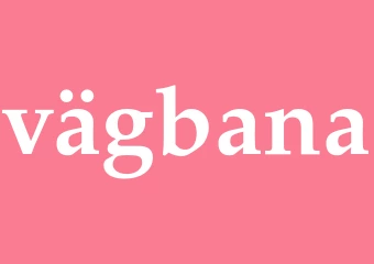 Synonym vägbana