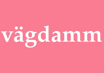 Synonym vägdamm