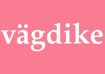 Synonym vägdike