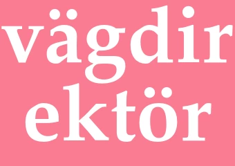 Synonym vägdirektör