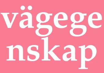 Synonym vägegenskap
