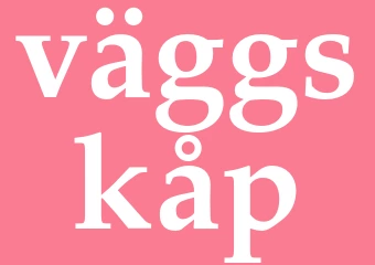 Synonym väggskåp