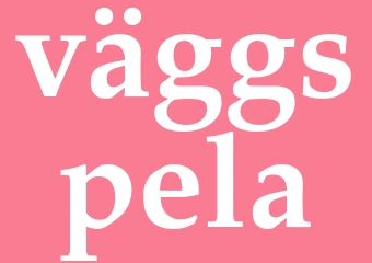 Synonym väggspela