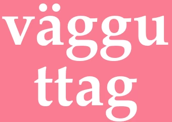 Synonym vägguttag