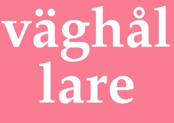 Synonym väghållare