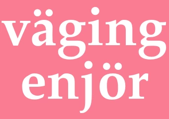 Synonym vägingenjör