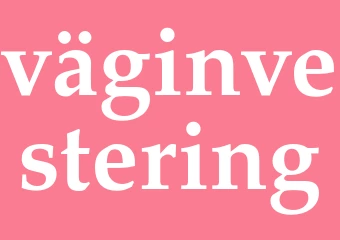 Synonym väginvestering