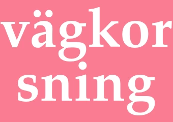 Synonym vägkorsning